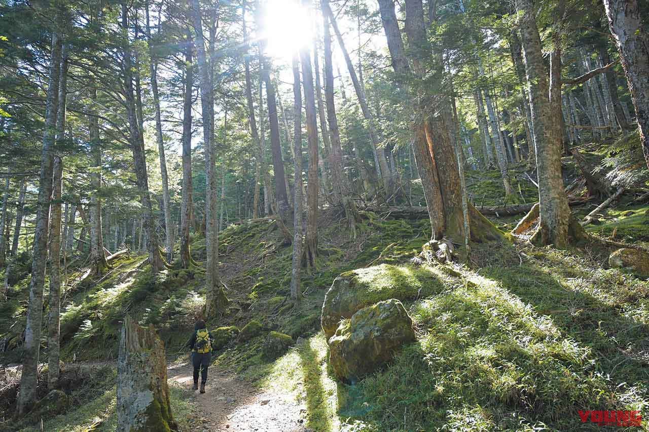 |日本最高所の野湯「雲上の湯」を目指し林道を走り山をゆく!!〈八ヶ岳林道温泉ツーリング・前編〉