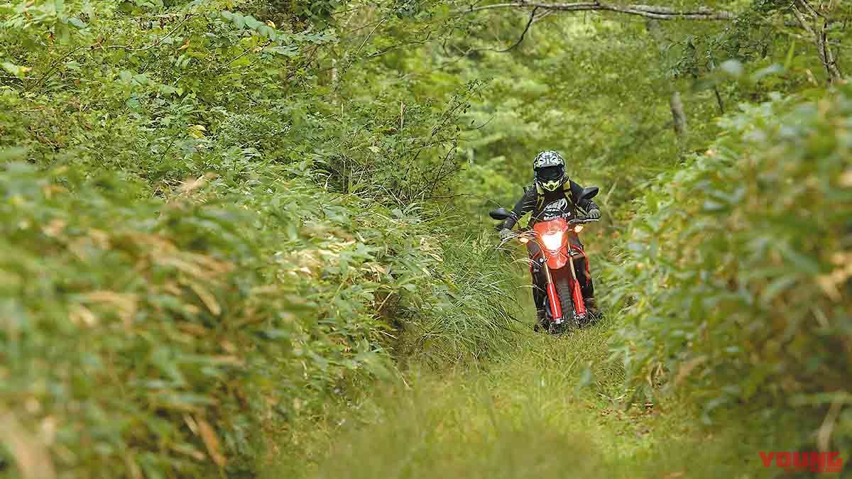 |八ヶ岳周辺のダート林道探索!! 名所&グルメも堪能〈林道温泉ツーリング・後編〉