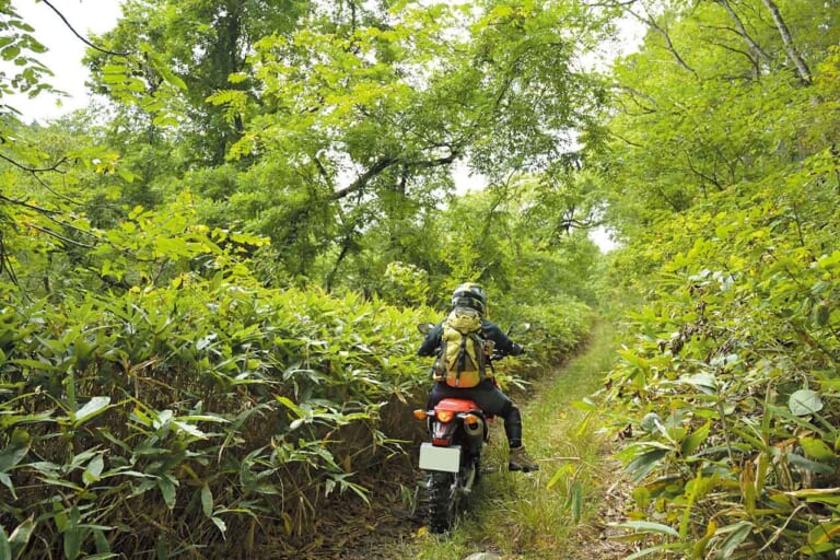 八ヶ岳周辺林道温泉ツーリング|ホンダCRF250L|八ヶ岳周辺のダート林道探索!! 名所&グルメも堪能〈林道温泉ツーリング・後編〉