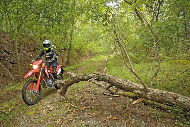八ヶ岳周辺林道温泉ツーリング|ホンダCRF250L|八ヶ岳周辺のダート林道探索!! 名所&グルメも堪能〈林道温泉ツーリング・後編〉