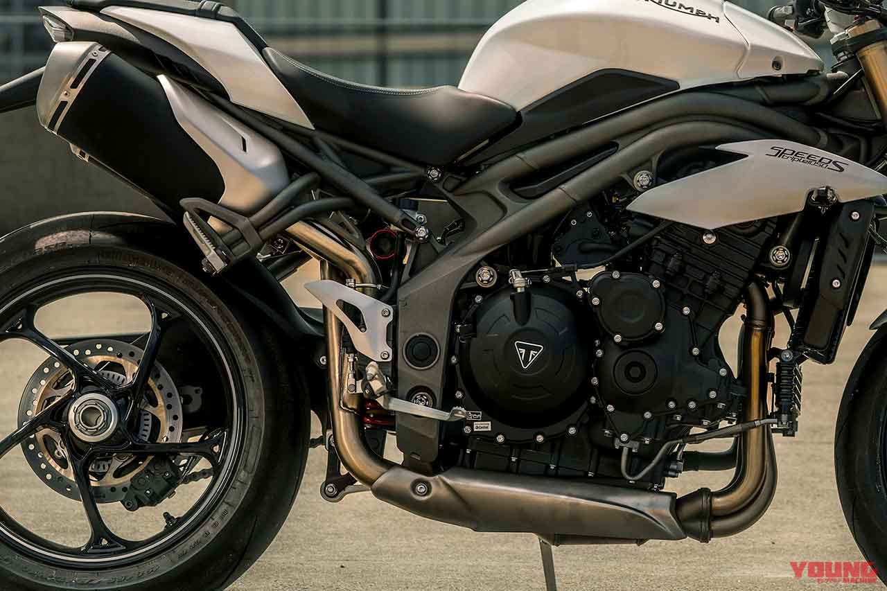 '18 トライアンフ スピードリプル