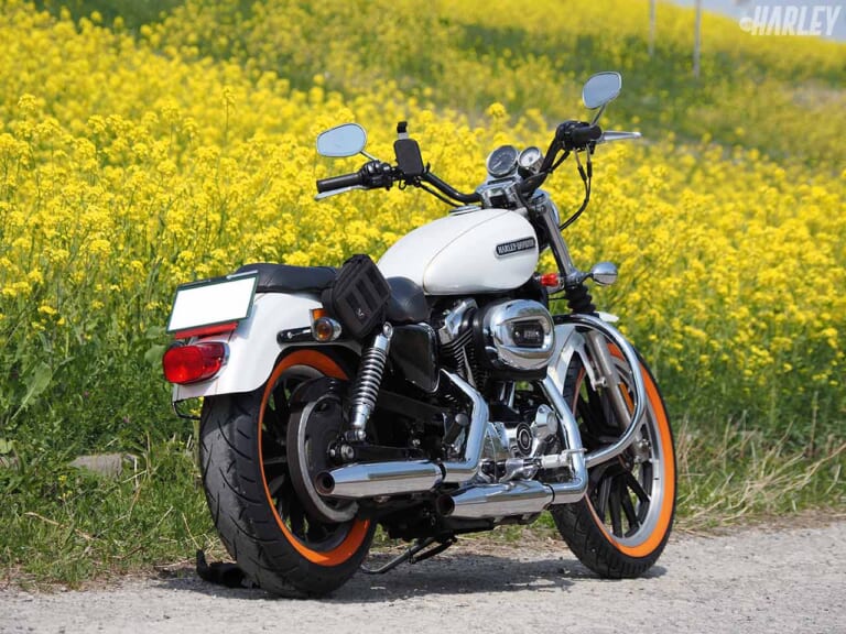 ハーレーダビッドソンXL1200Lスポーツスター|ハーレーユーザーのための任意バイク保険に加入してみた〈HARLEY|モーターサイクル保険〉