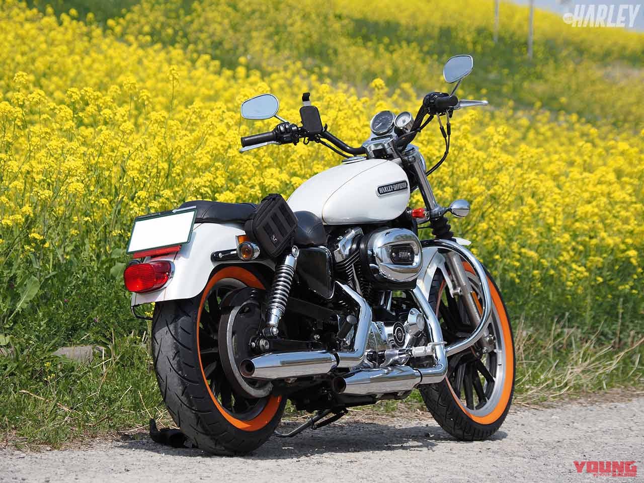 |ハーレーユーザーのための任意バイク保険に加入してみた〈HARLEY|モーターサイクル保険〉