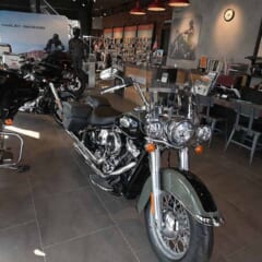 店内にずらりと並ぶハーレー