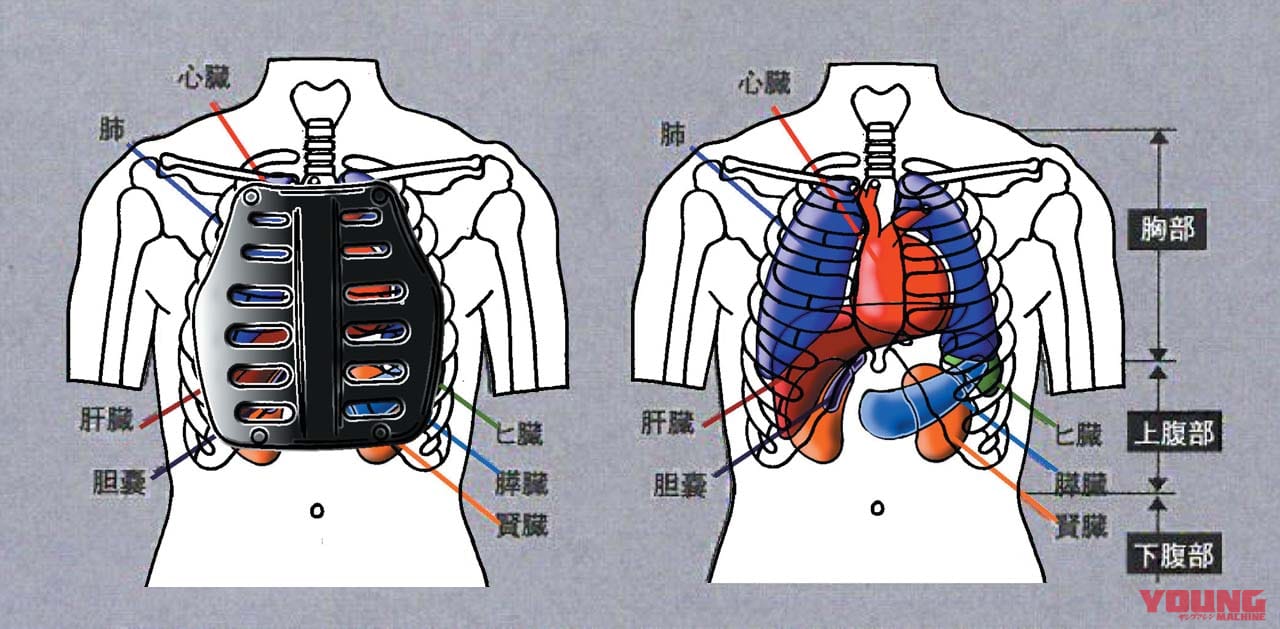 |白バイの殉職を減らすためだったボディプロテクター、一般ライダーへのさらなる普及を! …〈多事走論〉from Nom