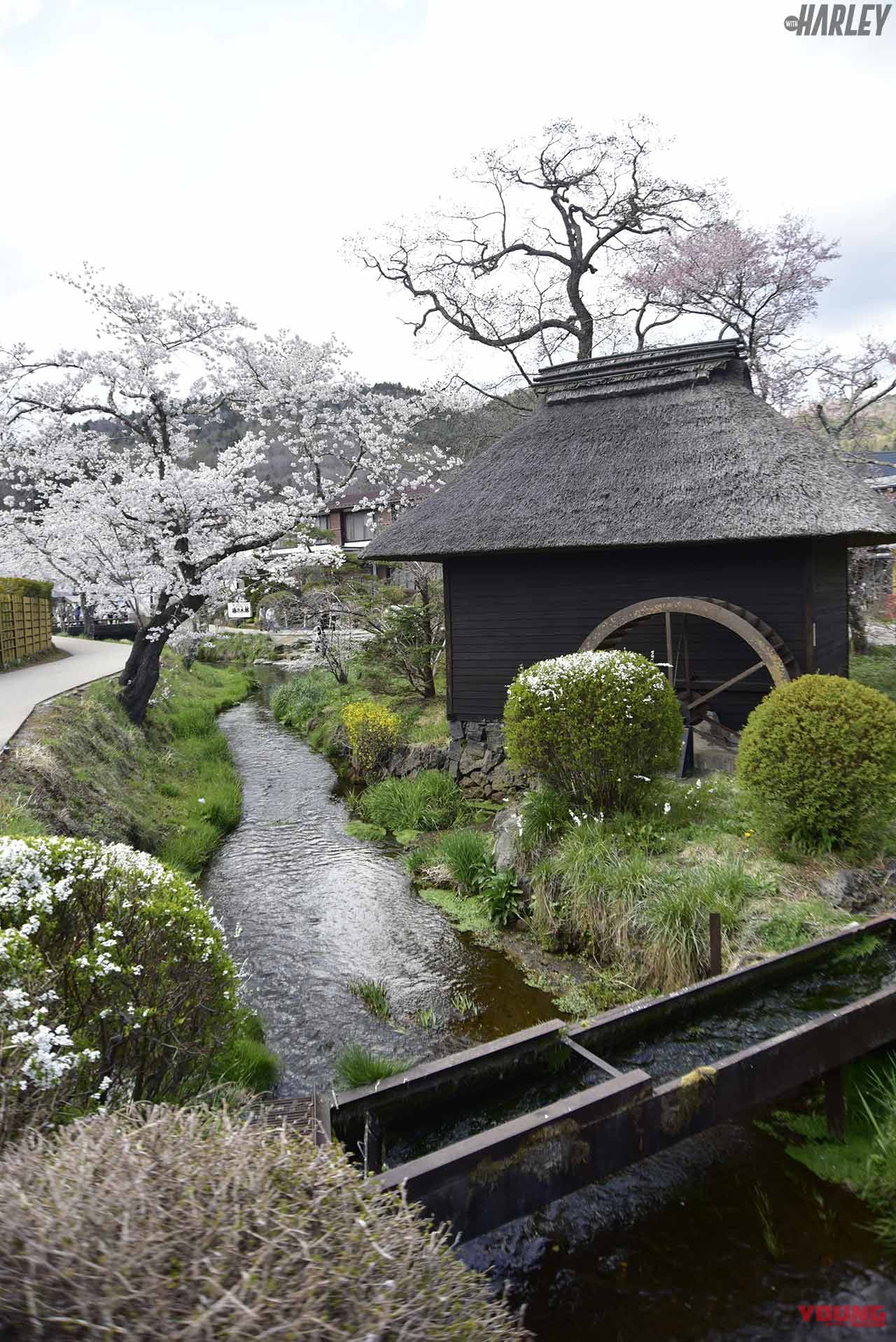 ハーレー忍野八海ツーリング|ハーレーでローカルロードを快走して飛び切り美味いランチを食べに行こう!〈忍野八海ツーリング〉