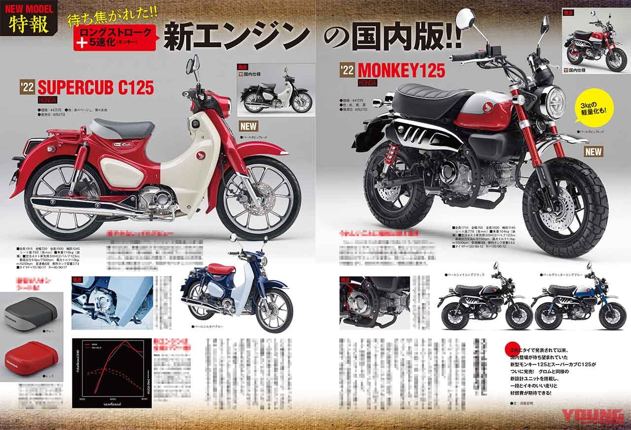 ヤングマシン2011年11月号|ニューモデル特報|ホンダ モンキー125&スーパーカブC125|ヤングマシン11月号発売!【現代版”Z”=Z900RSのすべて|新型GSX-S1000比較試乗|秋冬ウエアカタログ】
