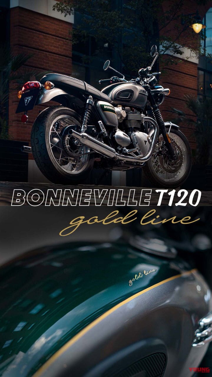 Bonneville T120 Gold Line Editions|【今季限定】ハンドペイントの金色ライン! トライアンフがボンネビル系の7車種に特別仕様を設定