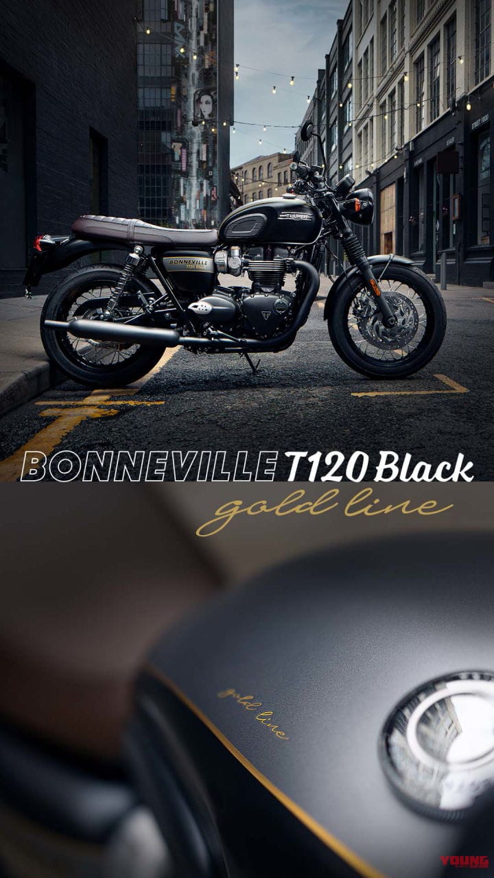 Bonneville T120 Black Gold Line Editions|【今季限定】ハンドペイントの金色ライン! トライアンフがボンネビル系の7車種に特別仕様を設定