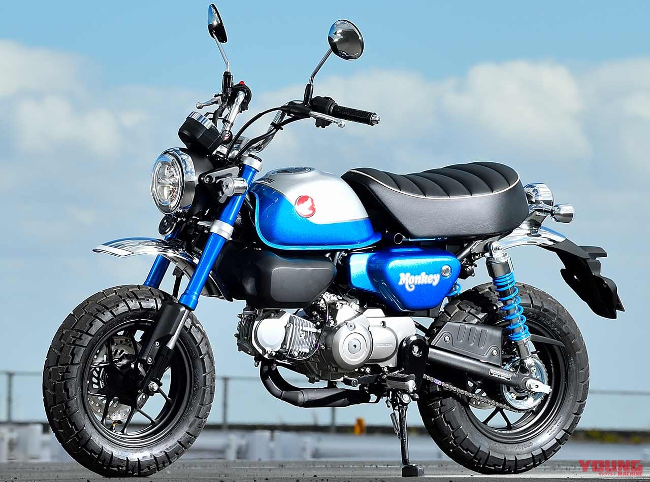 |モンキーとの差別化だっ! 復活ダックスは5速MTでキマリと思いきや、4速クラッチレス説浮上!?〈YM未来予想〉