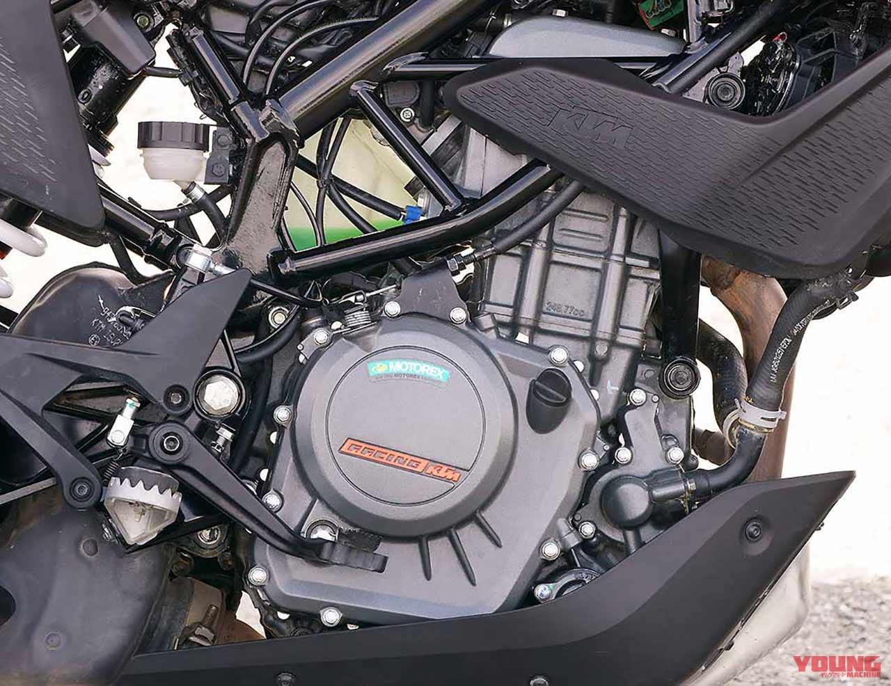 |KTM 250/390アドベンチャー試乗比較【林道ツーリングで見えた2台の個性】