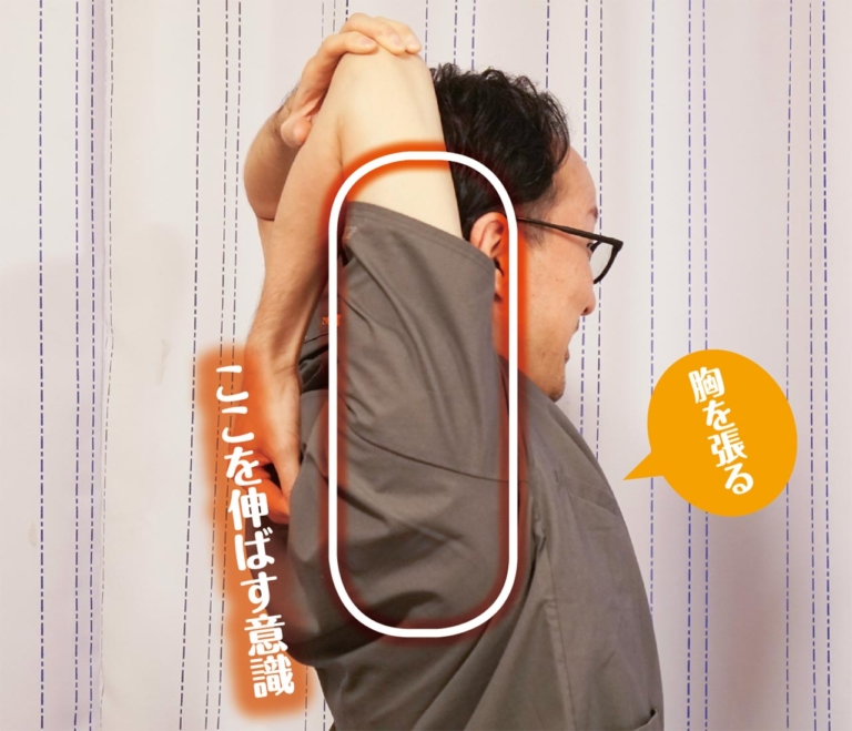 ストレッチ|セルフメンテナンス|肩・背中まわり|上腕三頭筋|簡単ストレッチでツーリングの疲労回復やケガ防止を【日常生活にも効果アリのセルフ身体メンテナンス】