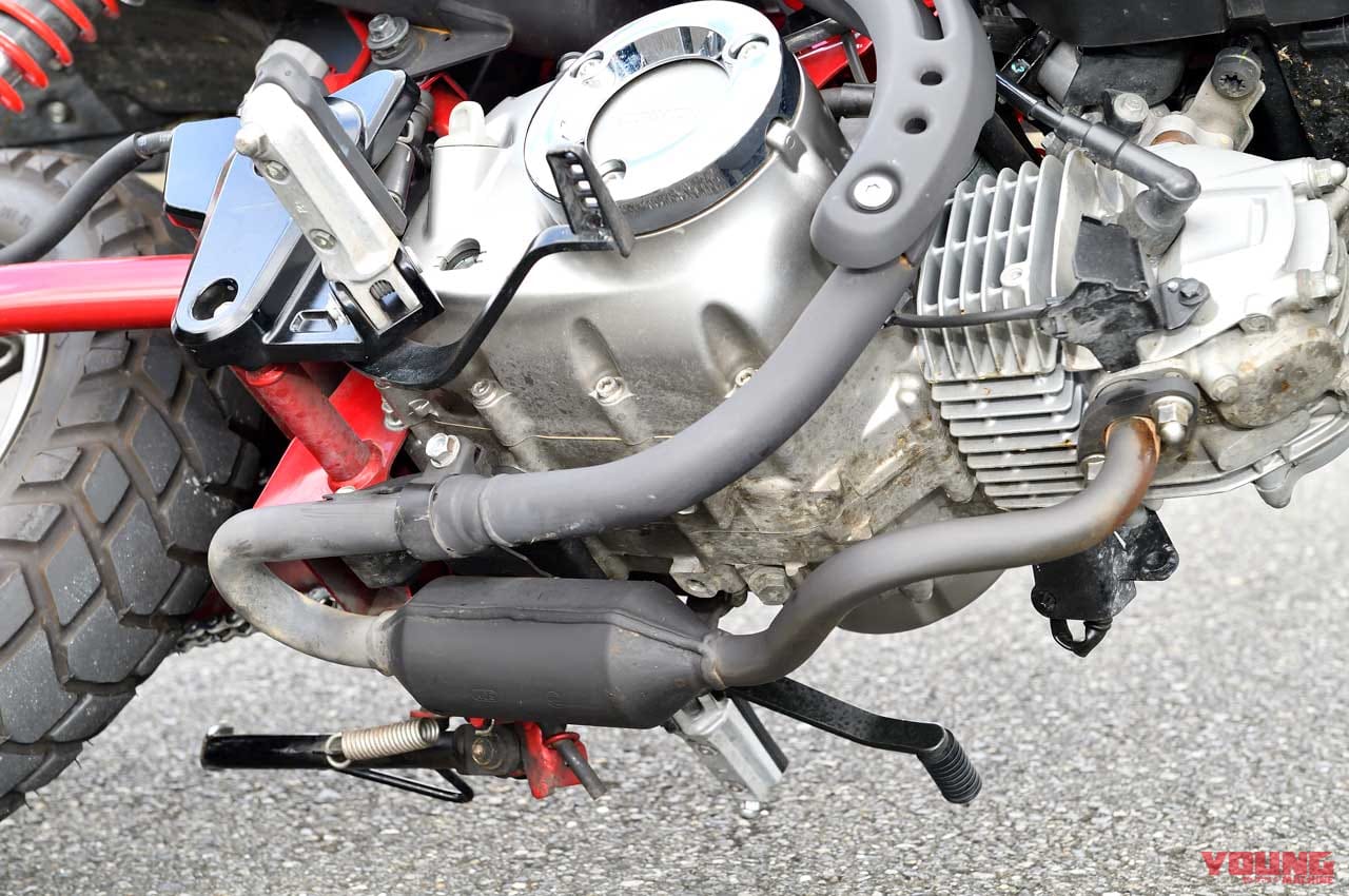|ホンダ新旧モンキー125徹底比較試乗インプレ【力強さの旧型/上質さの新型】