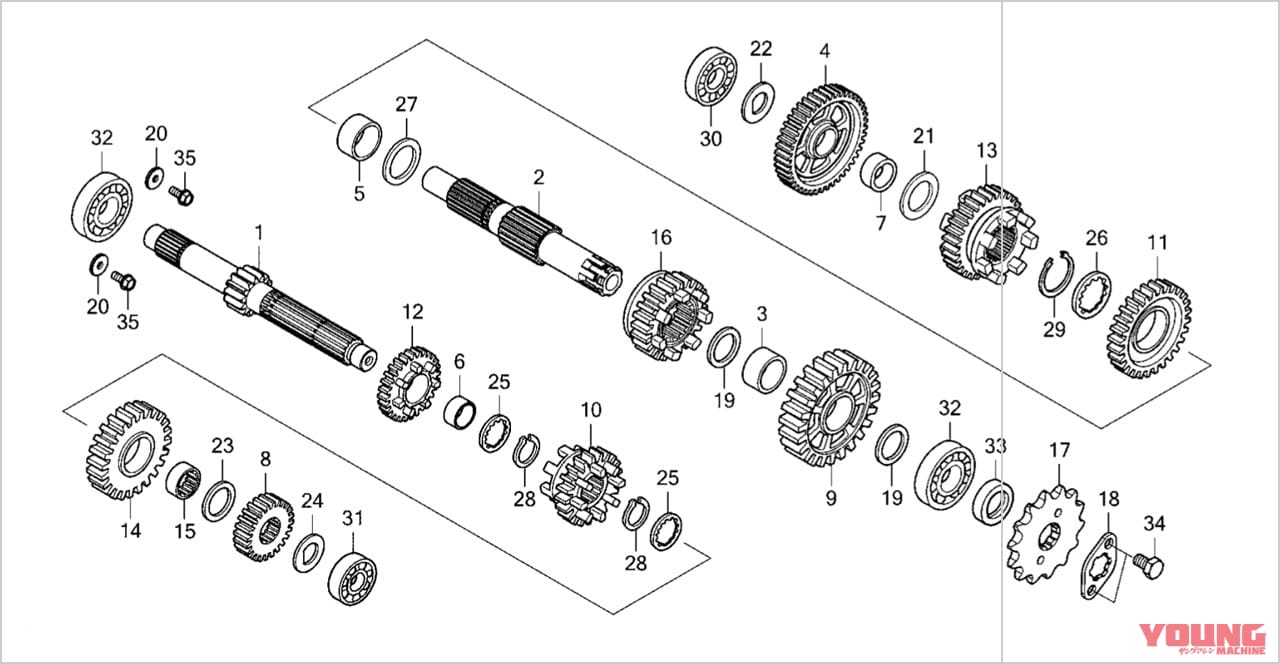 |ホンダ新旧モンキー125徹底比較試乗インプレ【力強さの旧型/上質さの新型】