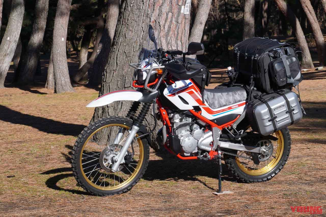 ワークマン|キャンプ|【-1.5℃、寝れんのか!】ワークマンのテント(4900円)でソロキャンプしてみた【発売から1年の人気モデル】