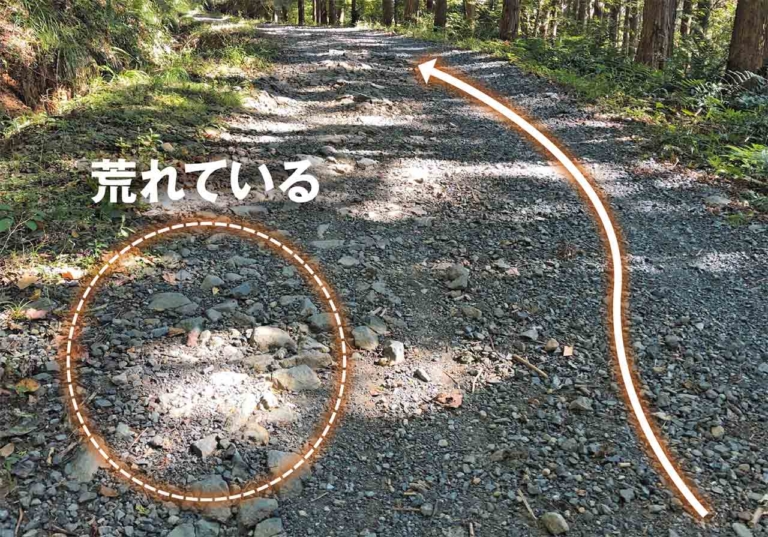 林道ツーリング|ライテク|ラインどり|林道ビギナー向けラインディングテクニック〈内山裕太郎のチビテク講座|後編〉