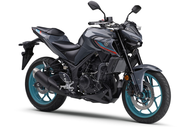 ヤマハ|MT-25|【2024年5月版】250ccバイク 国産おすすめ18選! 軽二輪は車検不要だけが魅力じゃない!