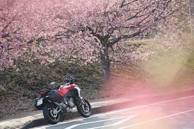 ムルティストラーダ ディスカバージャパントリップ 伊豆高原|ムルティストラーダで探す「美しい日本の春」! ヤンマシチームの”冒険旅”レポート【前編:東京〜西伊豆】