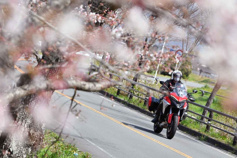 ムルティストラーダ ディスカバージャパントリップ 狩野川さくら公園|ムルティストラーダで探す「美しい日本の春」! ヤンマシチームの”冒険旅”レポート【中編:西伊豆〜京都】