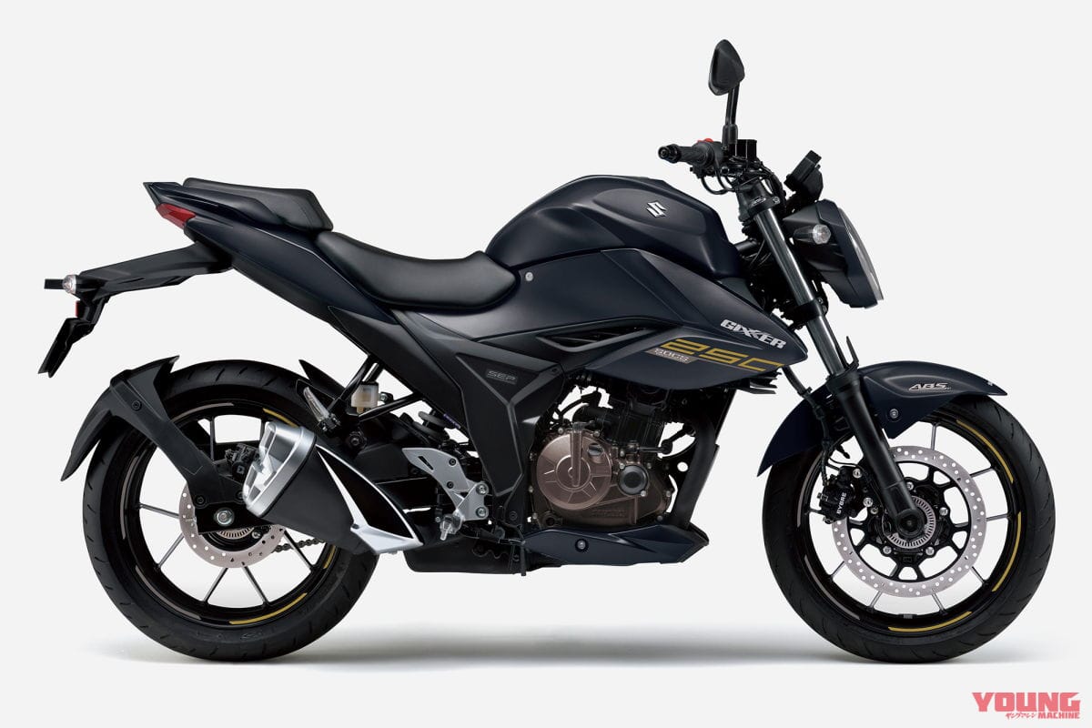 スズキ|ジクサー250|スズキ新型「VストロームSX」爆誕!! 油冷ジクサー250ベースのスポーツアドベンチャーだ!【海外】
