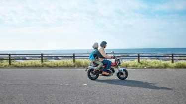 ホンダ Cb400sf教習車の知られざる秘密 型式すら異なる専用車両 足まわりのセッティングも違う Webヤングマシン 新車バイクニュース ホンダ Cb400sf教習車の知られざる秘密 型式すら異なる専用車両 足まわりのセッティングも違う Webヤングマシン 新車バイクニュース