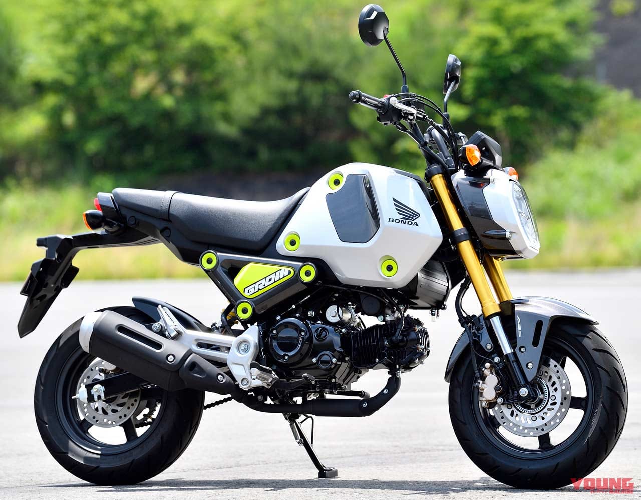 HONDA GROM|コレが現代のホンダ125cc勢力図だッ! 充実の個性派原付二種レーダーチャート分析