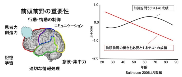エッ!? 人の行動を制御する前頭前野の働きは20歳から降下?|若者にも知って欲しい!10年以上前に行われていた世界初の実証実験「バイクに乗ると“脳が活性化する!」で出た結果とは?