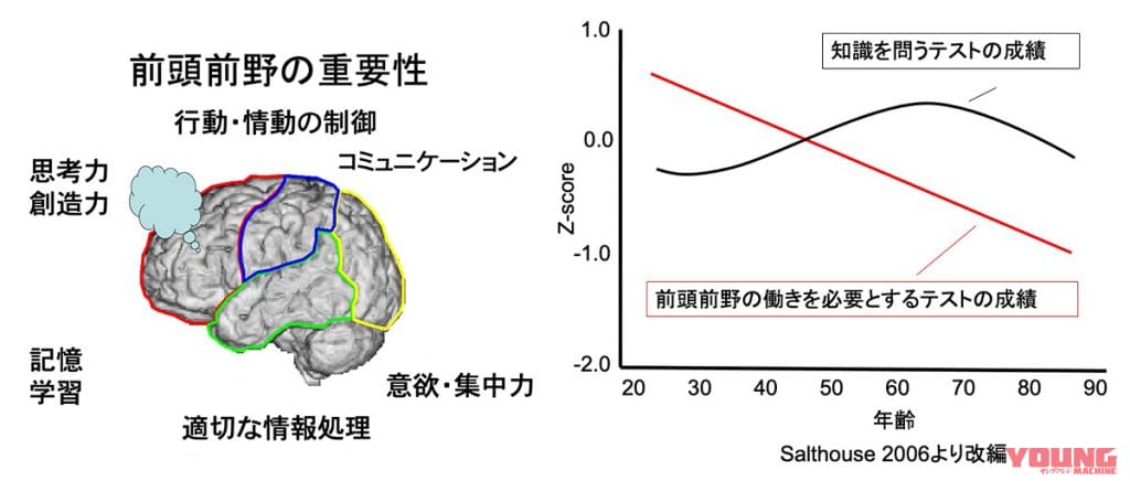 エッ!? 人の行動を制御する前頭前野の働きは20歳から降下?|若者にも知って欲しい!10年以上前に行われていた世界初の実証実験「バイクに乗ると“脳が活性化する!」で出た結果とは?