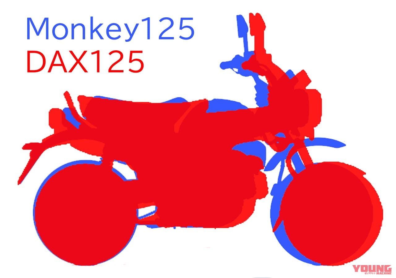 |【比較】ダックス125とモンキー125は似ているようで乗れる免許も違う! タンデムできるのは?