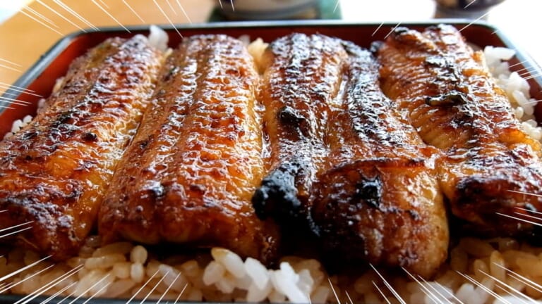 スーパーカブ110航続距離テスト|うなぎ|さすがのスーパーカブ、ホンダ公表の燃費を突破!? スーパーカブ110 航続距離実測ガチ検証【東京→浜名湖】