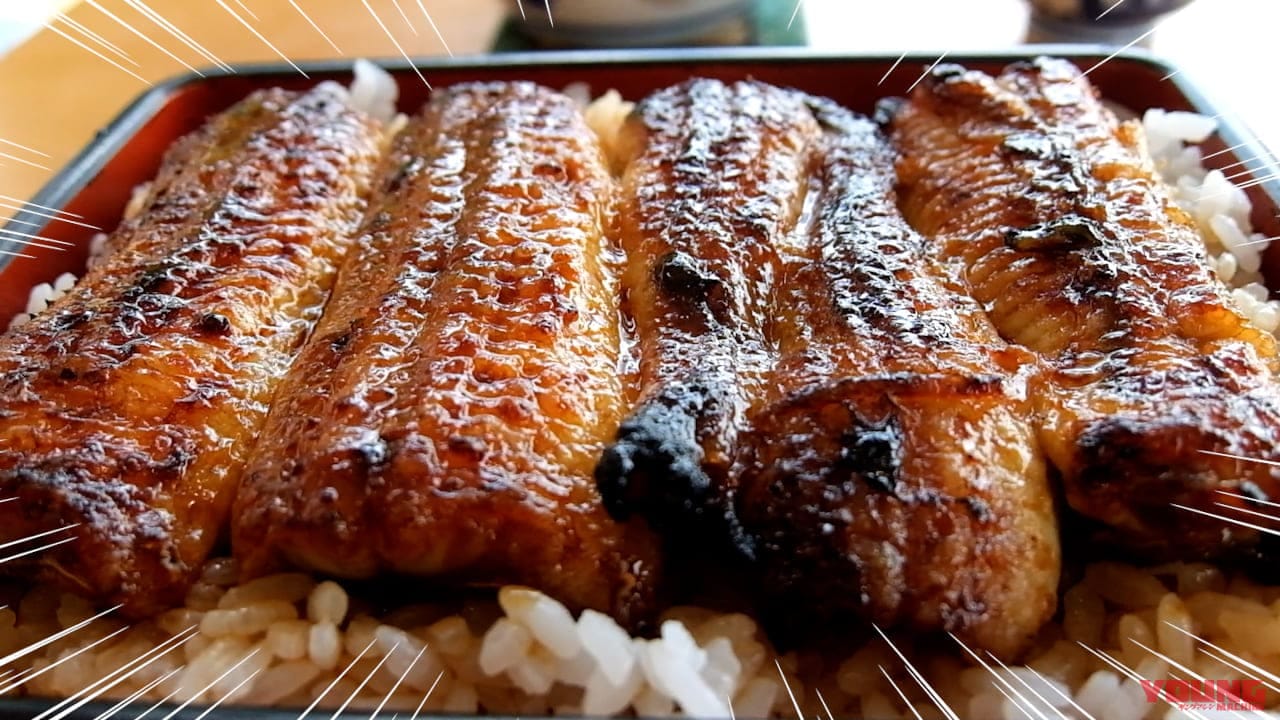 スーパーカブ110航続距離テスト|うなぎ|さすがのスーパーカブ、ホンダ公表の燃費を突破!? スーパーカブ110 航続距離実測ガチ検証【東京→浜名湖】