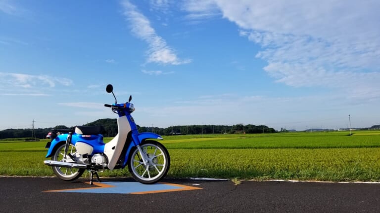 スーパーカブ110燃費アタック|水田|低燃費にもほどがある! ホンダ スーパーカブ110でリッター96.5kmを達成!?【無改造&フルノーマル】