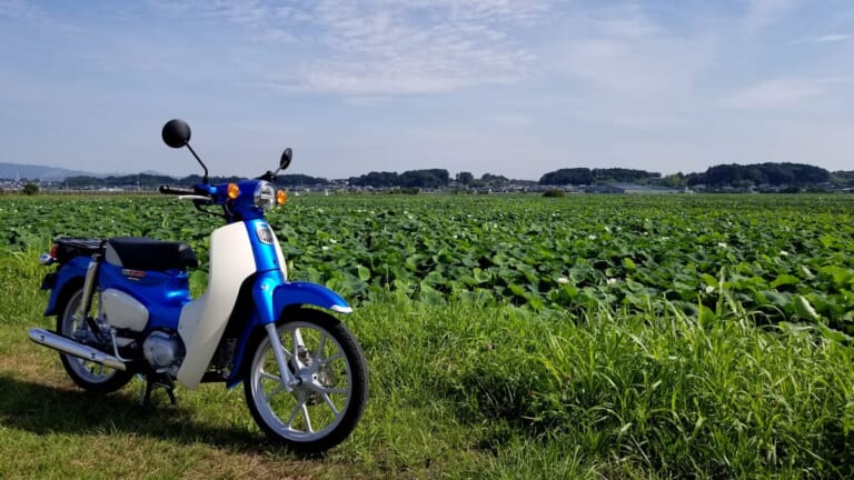スーパーカブ110燃費アタック|蓮畑|低燃費にもほどがある! ホンダ スーパーカブ110でリッター96.5kmを達成!?【無改造&フルノーマル】