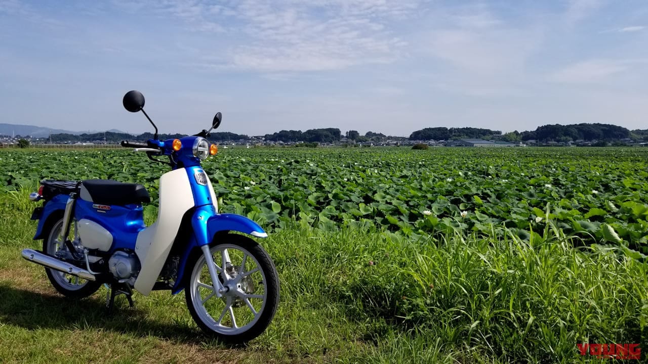 スーパーカブ110燃費アタック|蓮畑|低燃費にもほどがある! ホンダ スーパーカブ110でリッター96.5kmを達成!?【無改造&フルノーマル】