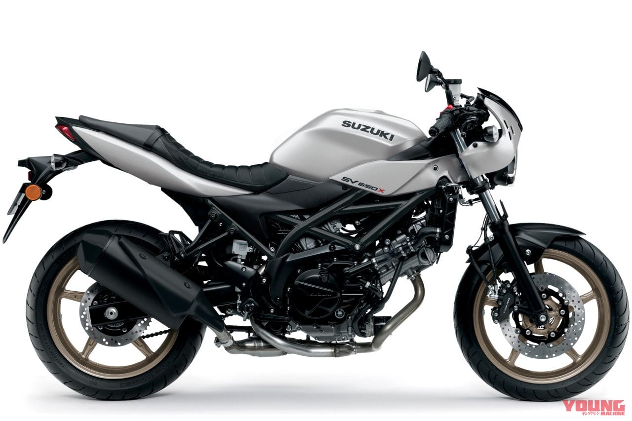|スズキ「SV650X」「SV650」に新色登場!! ホワイトシルバーのカフェレーサーXとゴールドホイールのSV650【欧州】