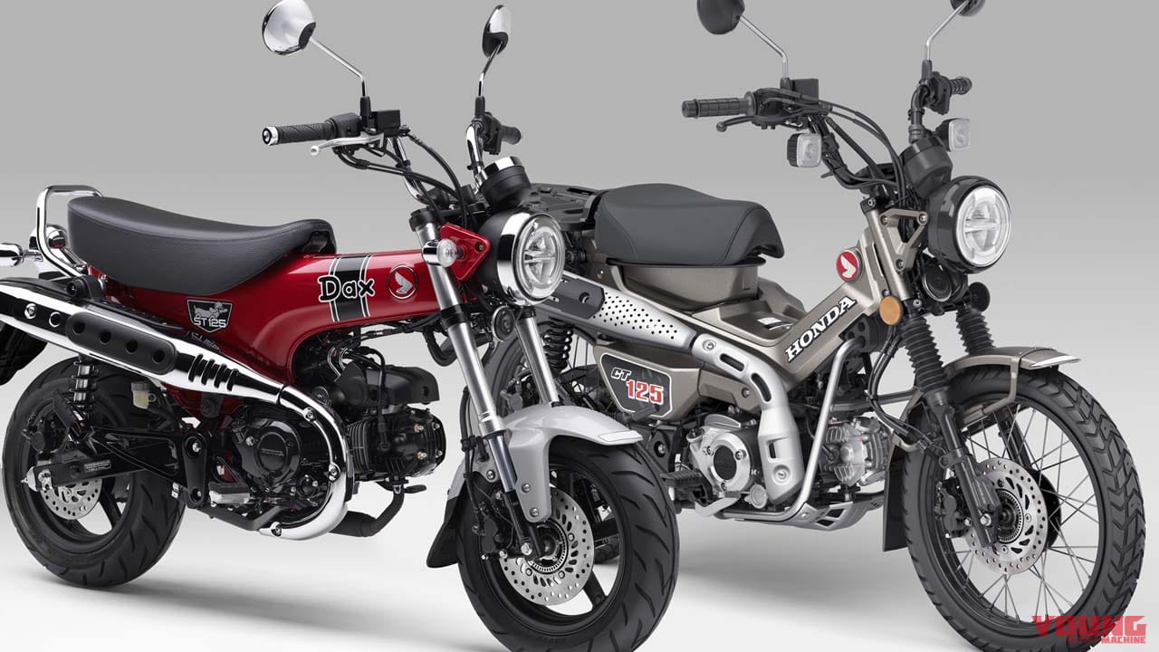 ダックス125とハンターカブ、同じ44万円だけど どっちがいいの? AT限定免許で乗れるホンダの身内ライバルを比較!