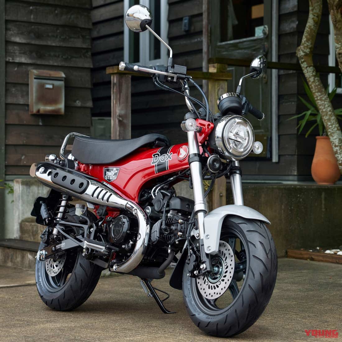 |ホンダ ダックス125〈いま国内で買える新型バイクカタログ|原付二種(125-51cc)〉