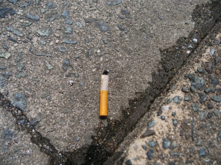 路上に捨てられたタバコ