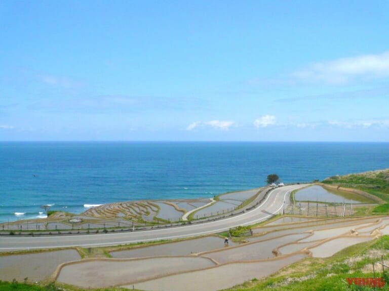 白米千枚田|波打ち際を大疾走! 海に最も近い道:石川県 千里浜なぎさドライブウェイ〈モトツー的ニッポン絶景道〉