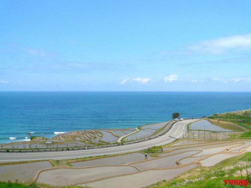 |波打ち際を大疾走! 海に最も近い道:石川県 千里浜なぎさドライブウェイ〈モトツー的ニッポン絶景道〉