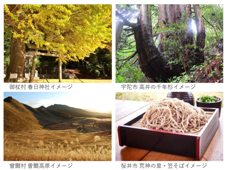 日本自動車連盟(JAF)|千年杉だ! 笠そばだっ! 「古の伊勢本街道を巡る錦秋の桜井市・宇陀市・曽爾村・御杖村スマホでドライブスタンプラリー」第1弾開催