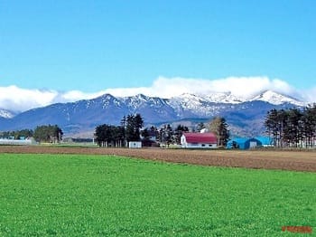 NEXCO東日本|地域のグルメや特産品大集合! 北海道ハイウェイ Show Area 2023 in 有珠山SAが9/16、17に開催