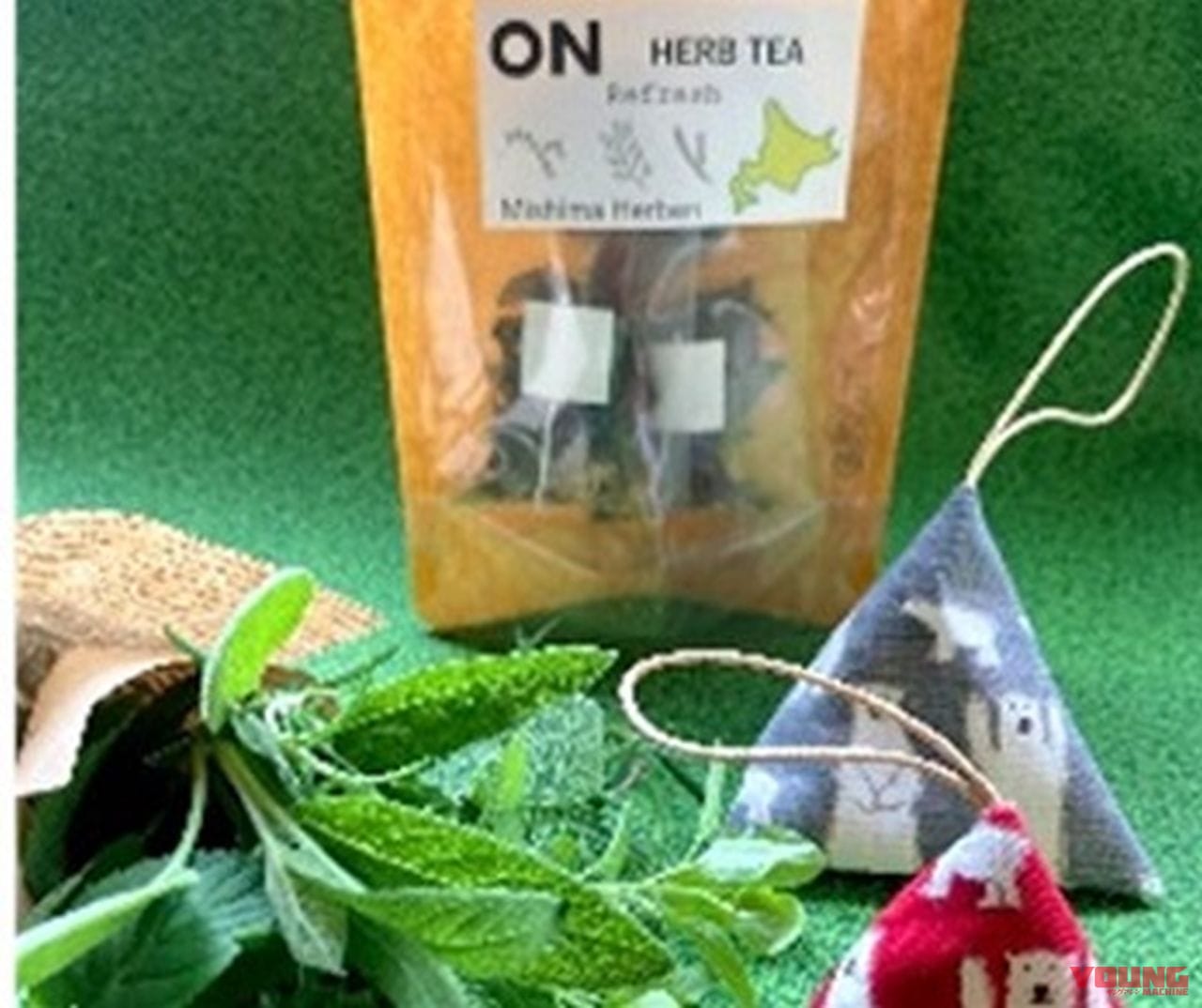 NEXCO東日本|地域のグルメや特産品が大集合! 北海道ハイウェイShowArea2023in輪厚PAが9/23・24に開催