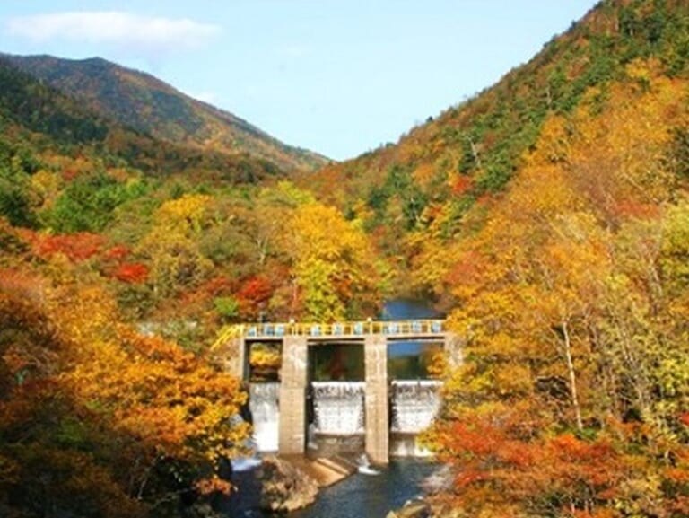 NEXCO東日本|地域のグルメや特産品が大集合! 北海道ハイウェイShowArea2023in輪厚PAが9/23・24に開催