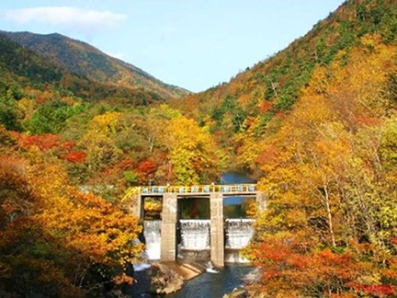 NEXCO東日本|地域のグルメや特産品が大集合! 北海道ハイウェイShowArea2023in輪厚PAが9/23・24に開催