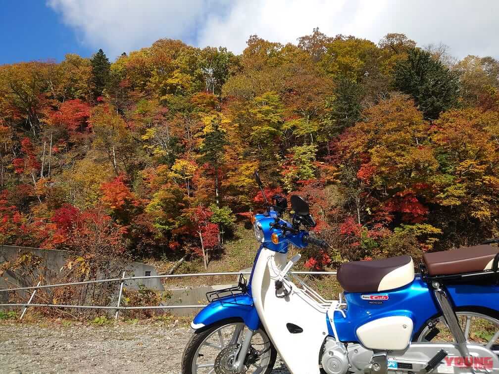 |妻のバイク理解度が100倍UP!!【ホンダ スーパーカブ110モニターレポート:最終回】