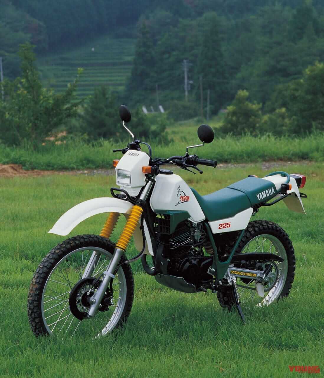 |レーサーレプリカ大ブームと共に栄えた原付、オフ車──日本の名車100選【昭和58~60年編】