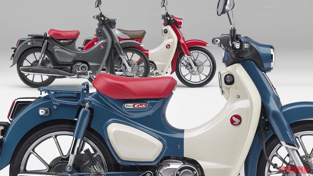 |ホンダ スーパーカブC125〈いま国内で買える新型バイクカタログ|原付二種(125-51cc)〉