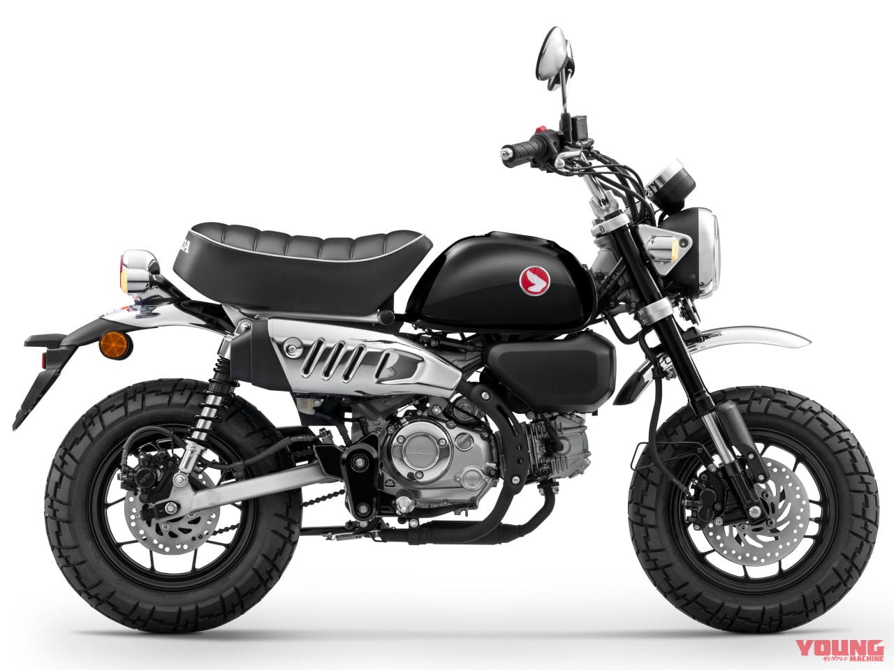 ホンダ|モンキー125|タイ仕様|2024年モデル|ダックス125とモンキー125は乗れる免許も違う! タンデムできるのは? スペック比較で解説