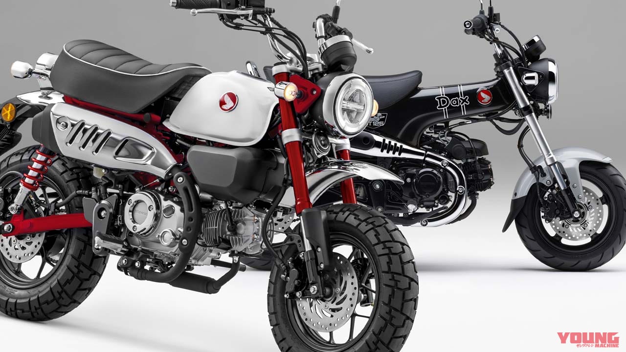 ダックス125とモンキー125は乗れる免許も違う! タンデムできるのは? スペック比較で解説